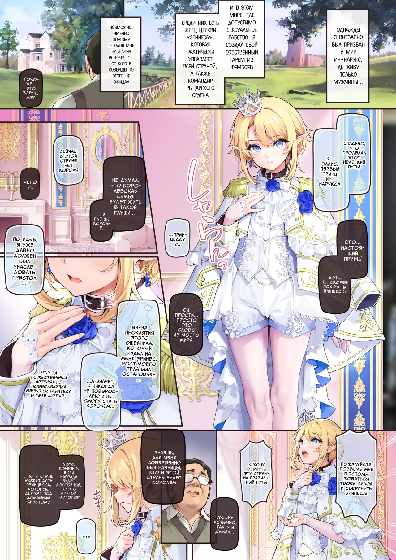 Isekai Otokonoko Ouji Junjun Drei ~Noroi de Seichou ga Tomatta Ouji o Moteasobi Mesu Ochisaseru~  | Фембой из иного мира: полное порабощение - развлечение с принцем, чьё взросление было остановлено проклятием, и его обращение в развратную самку page 2 full