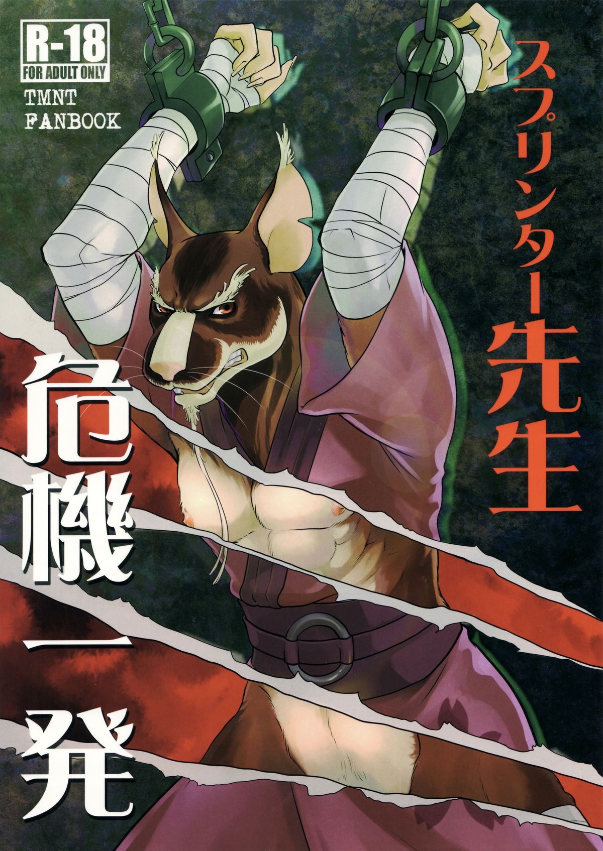 Splinter Sensei Kikiippatsu | Splinter Sensei's Crisis page 1 full