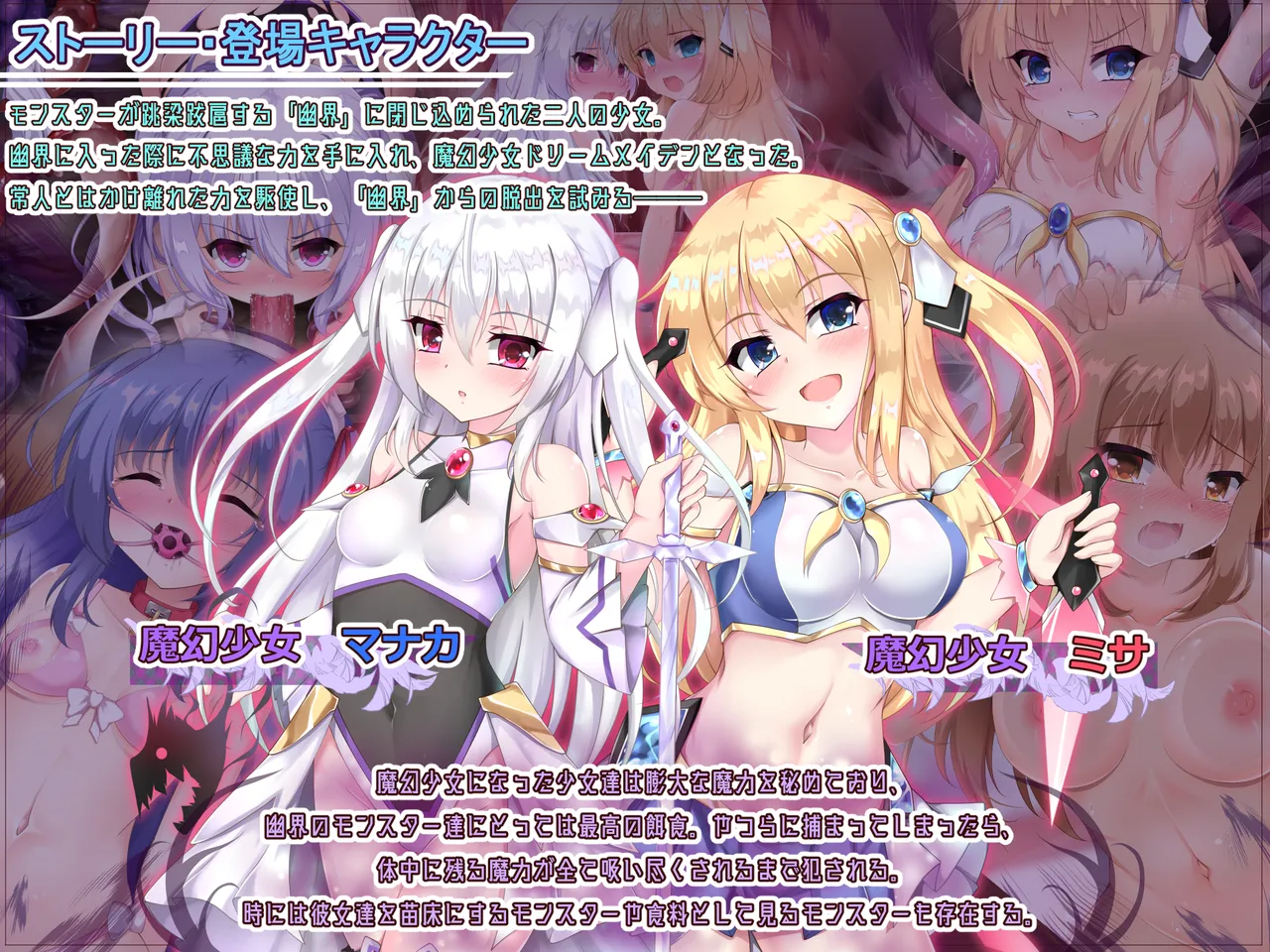 IF Magen Shoujo Dream Maiden ER・puremiamu BOX page 2 full