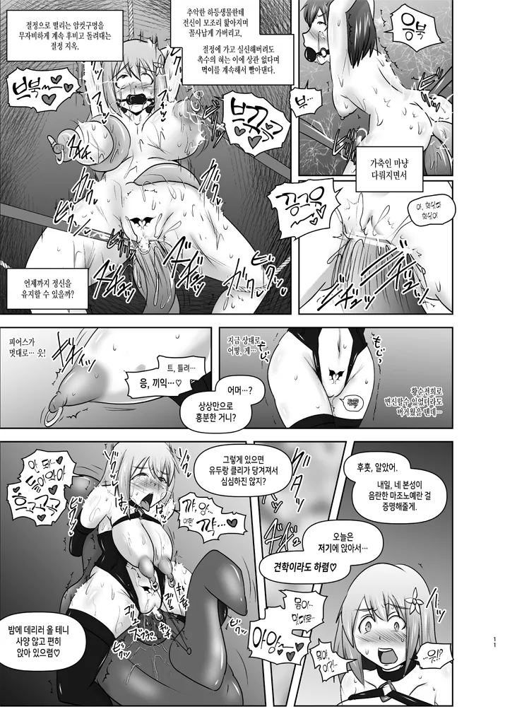 Raygis Valicess Elsain "Hajigyaku no Reigokutou Kouhen" | 황순전희 엘세인 치학의 노예섬 후편 page 10 full