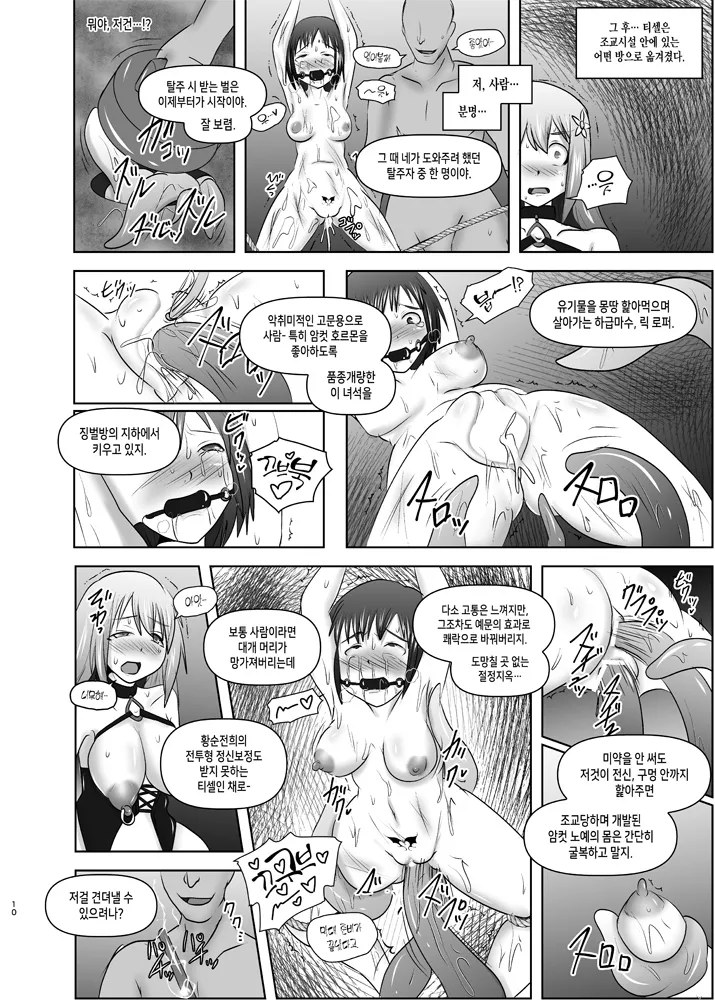 Raygis Valicess Elsain "Hajigyaku no Reigokutou Kouhen" | 황순전희 엘세인 치학의 노예섬 후편 page 9 full