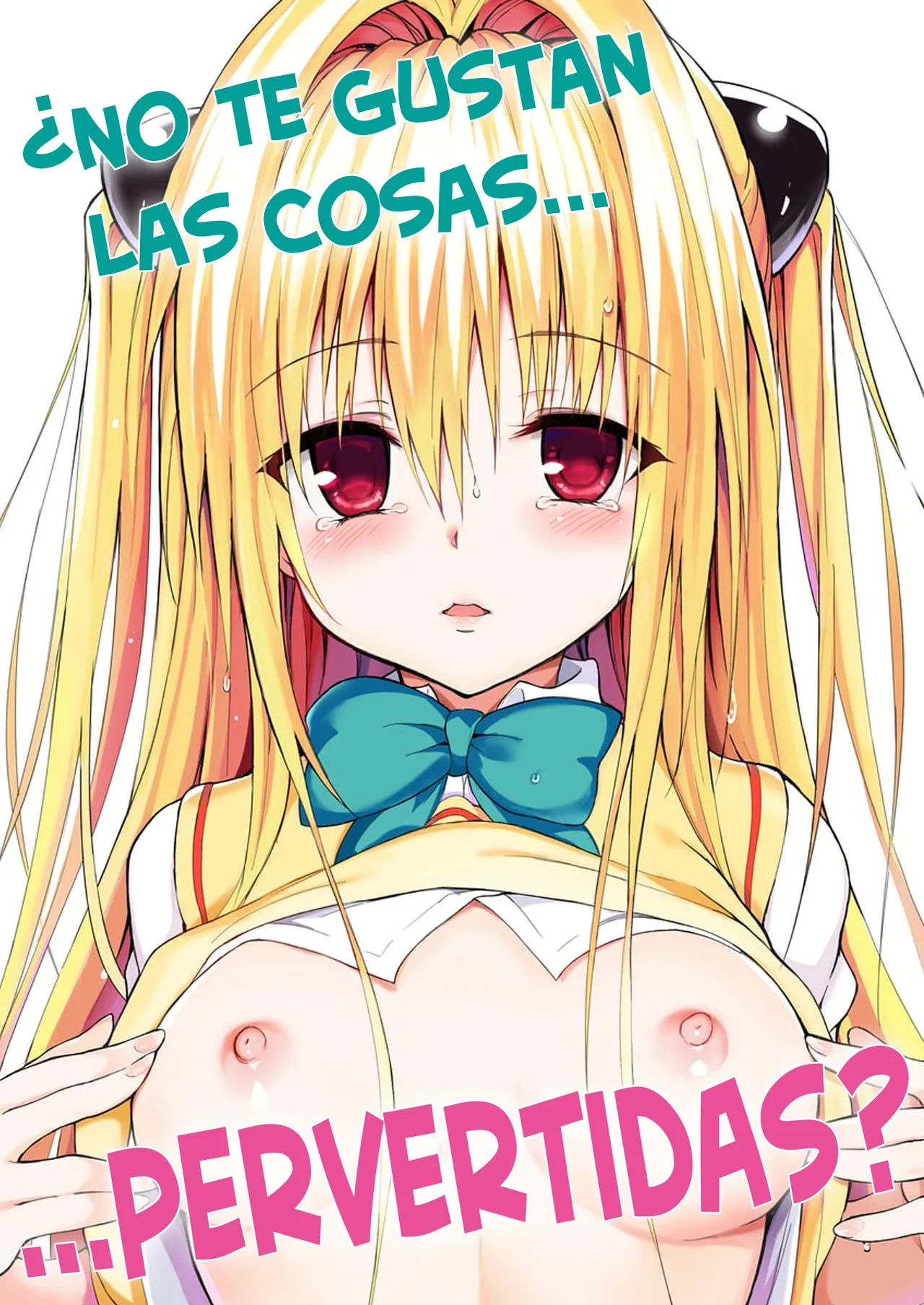 Ecchii no wa Kirai desu ka？- ¿No te Gustan las Cosas Pervertidas？ page 1 full