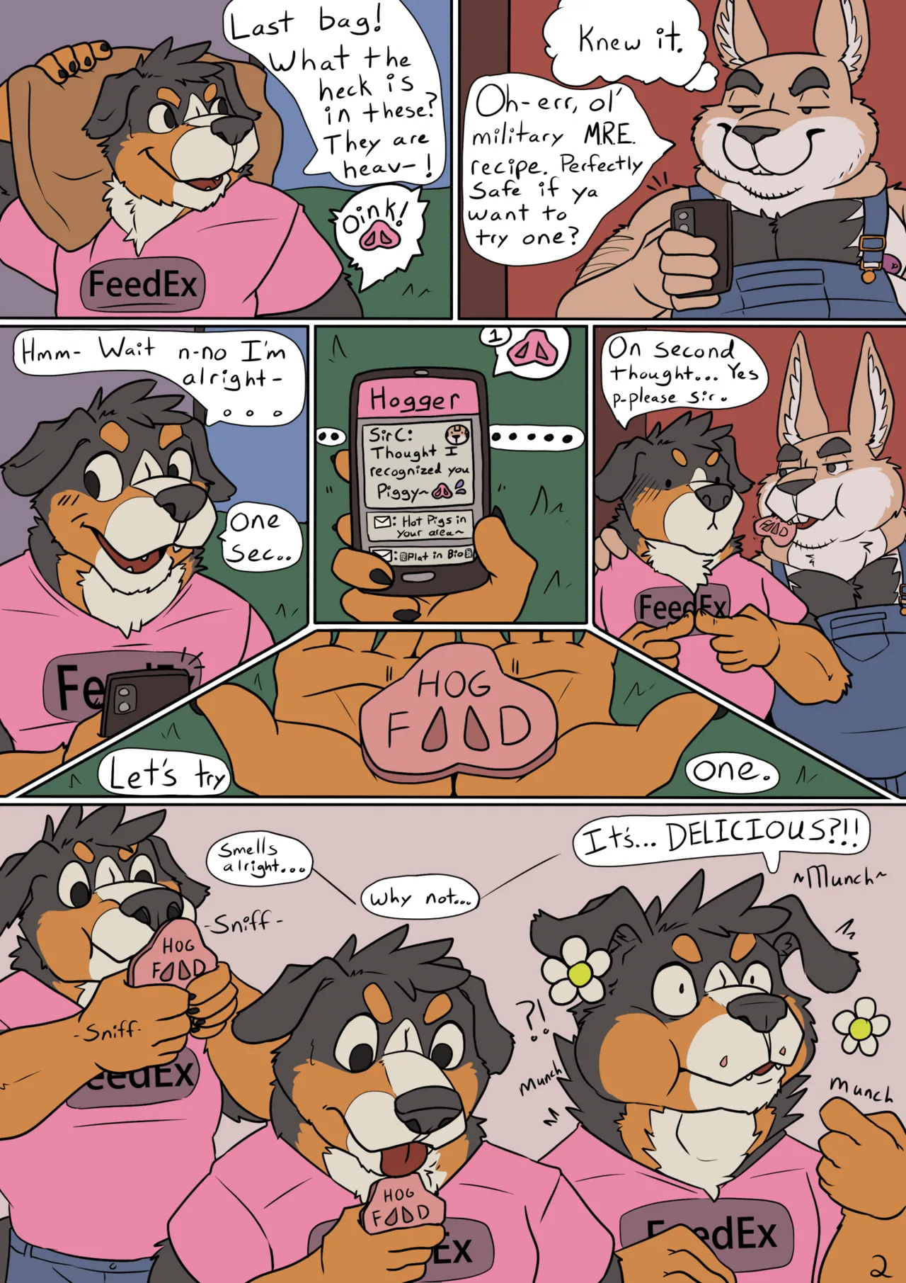 FeedEx page 3 full