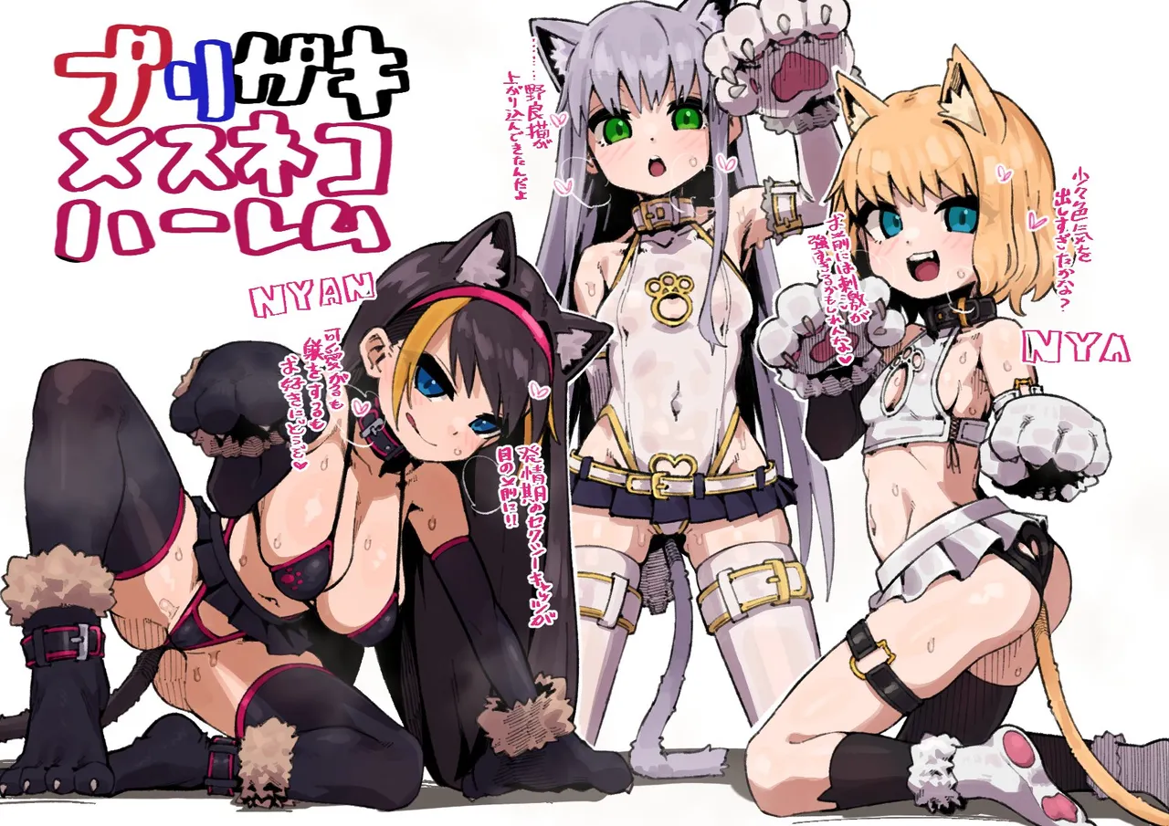 NSFW Collection page 5 full
