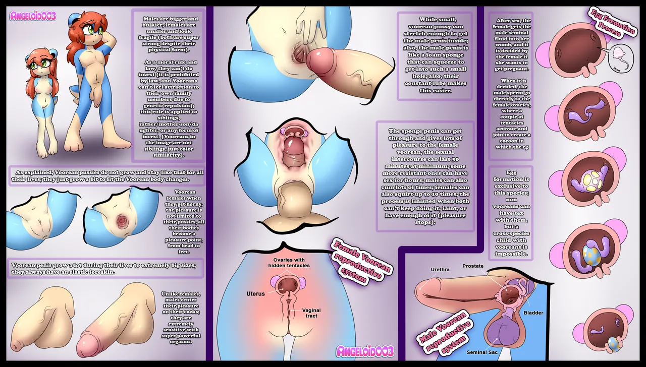 Voorean Species Sheet page 2 full