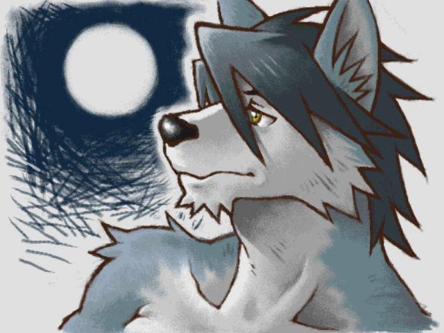 41raco Morenatsu Art Collection page 2 full